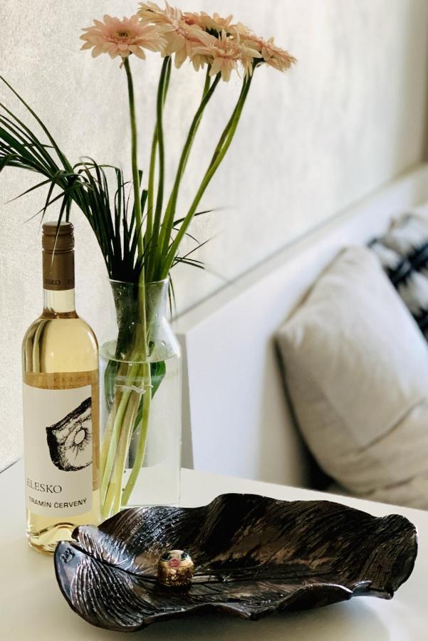 Cozy Apartment - Citycentre - Freeparking - Selfcheck-In Liptovský Mikuláš Eksteriør bilde